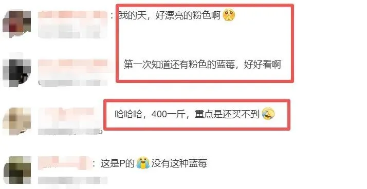社交媒体截图