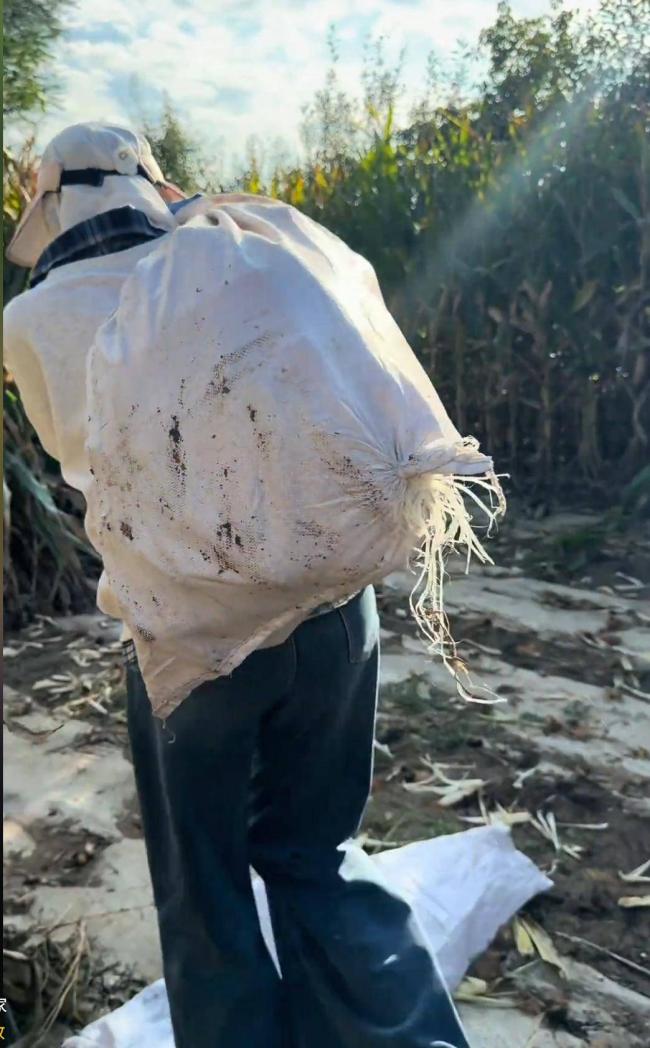 甘肃小伙刷视频爱上非洲女孩 飞往非洲娶回家 甘肃小伙刷视频爱上非洲女孩 飞往非洲娶回家